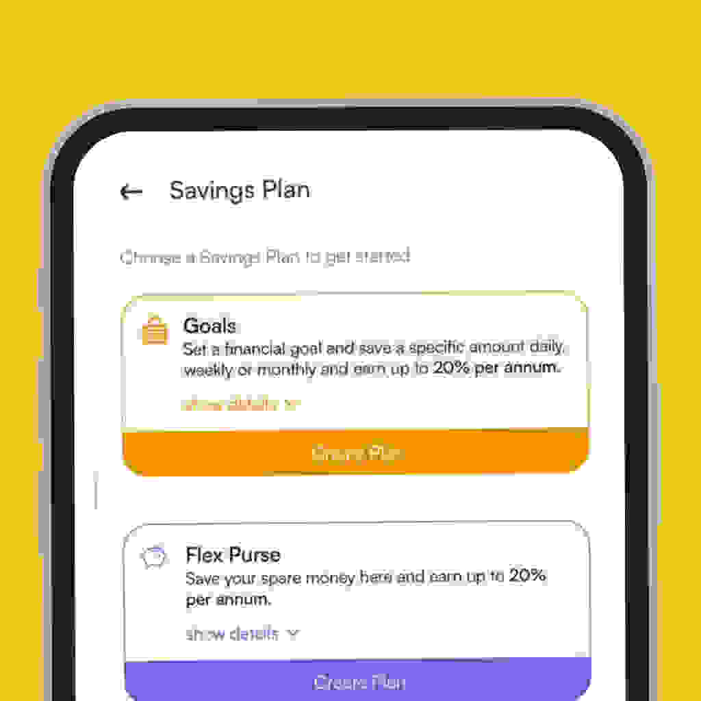 monthly savings in Nigeria